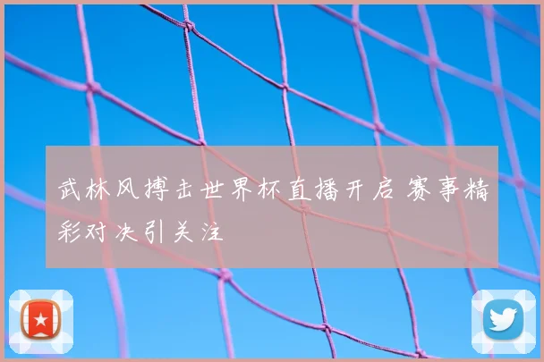 武林风搏击世界杯直播开启 赛事精彩对决引关注