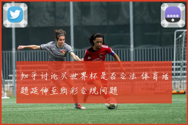 知乎讨论买世界杯是否合法 体育话题延伸至购彩合规问题