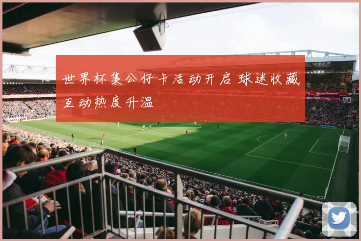 世界杯集公仔卡活动开启 球迷收藏互动热度升温