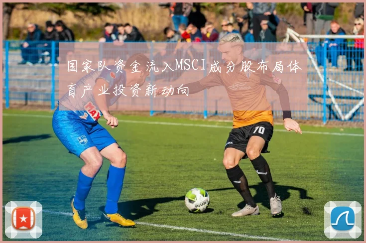 国家队资金流入MSCI成分股布局体育产业投资新动向