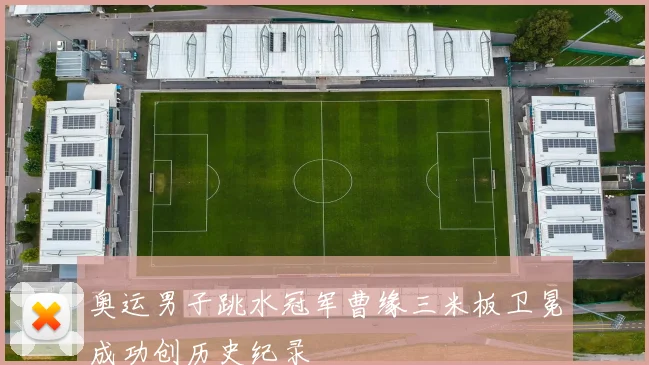 奥运男子跳水冠军曹缘三米板卫冕成功创历史纪录