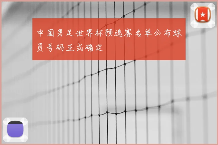 中国男足世界杯预选赛名单公布球员号码正式确定