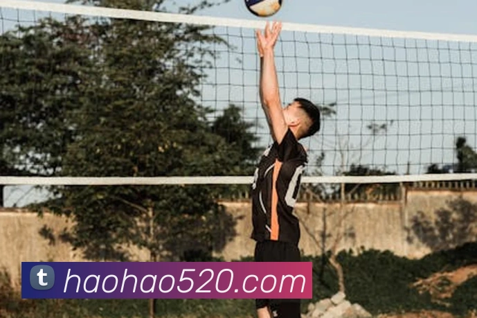 bsports网页版在线登录品牌故事