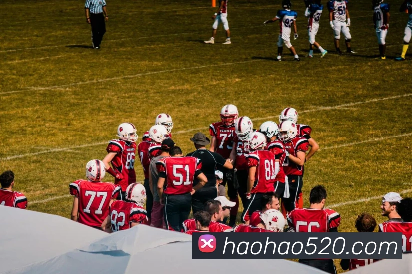 bsports网页版在线登录服务体系